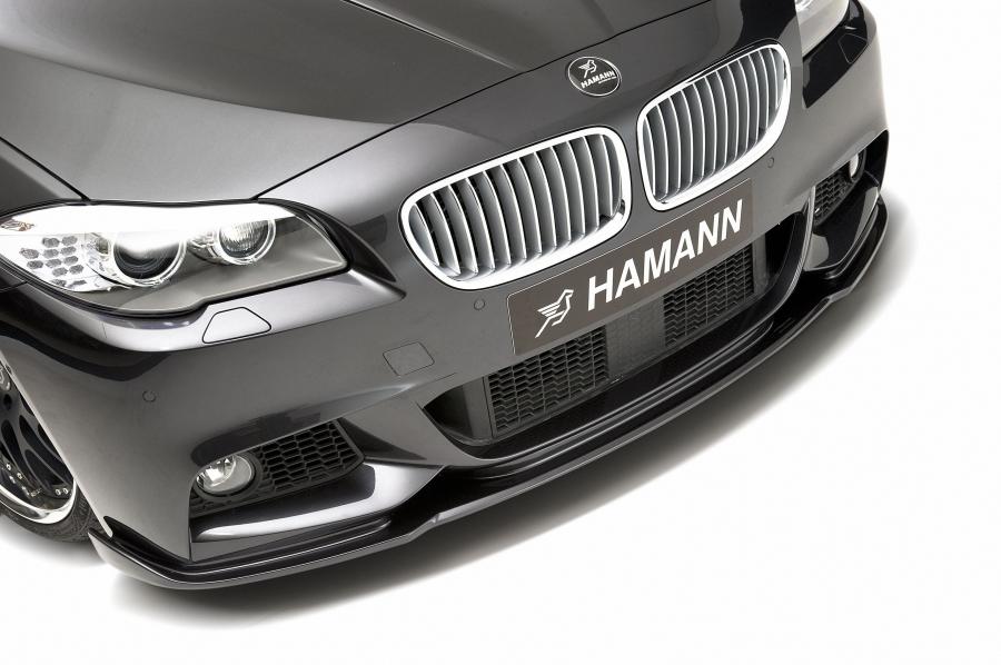  BMW 5-Series M-Technik by Hamann 2011 года  (фото 14 из 25)